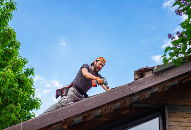 Best Steel Roofing  in Enterprise, UT